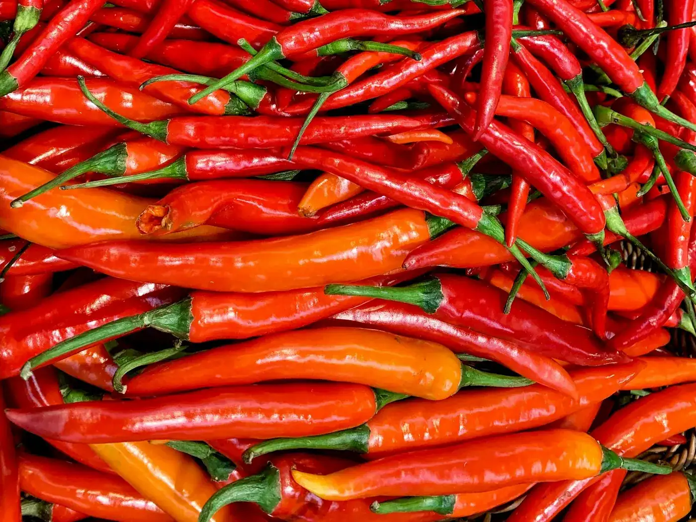 A market pile of red and orange chillies